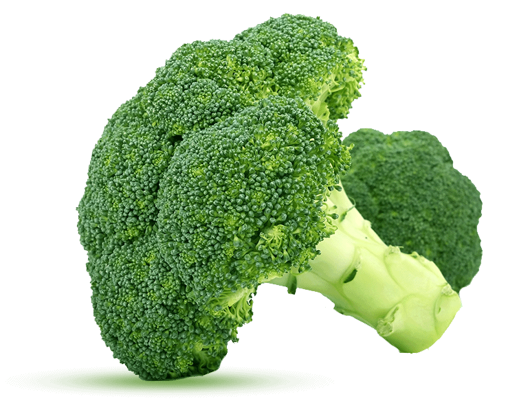 Fresh Fruits and Vegetables